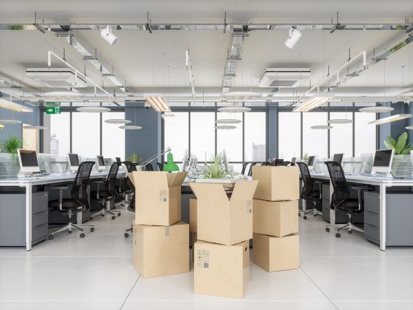 Cardboard boxes in new office