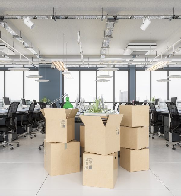 Cardboard boxes in new office